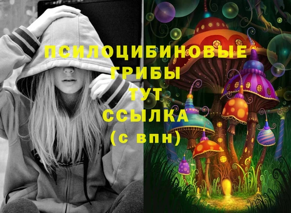 spice Бородино