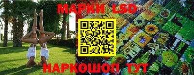 PSILOCYBIN Обь