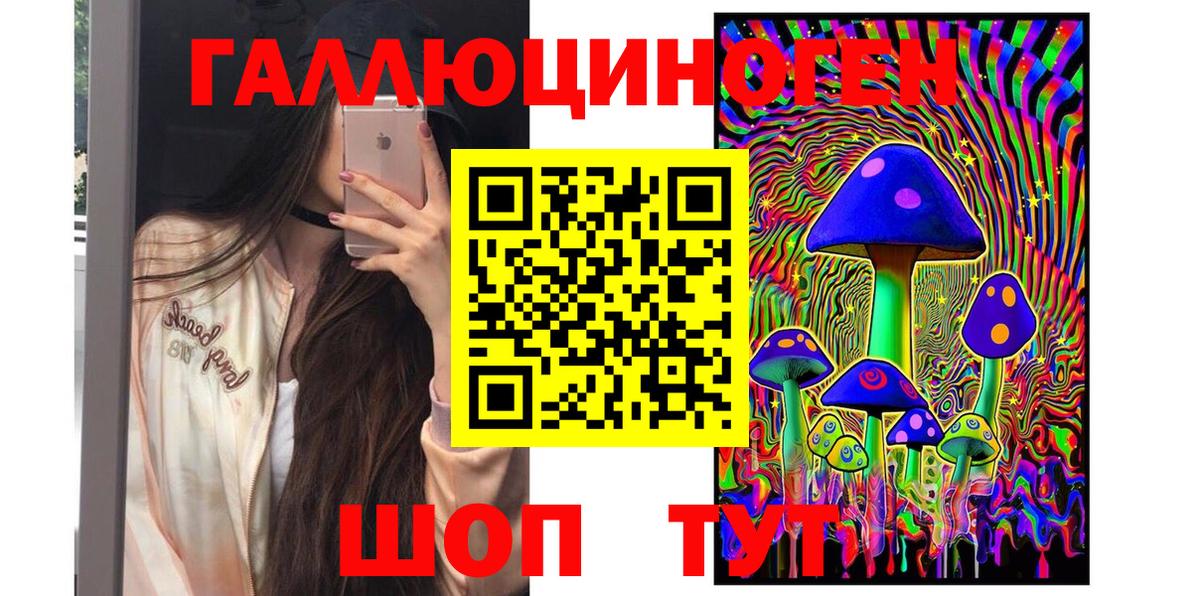 Дагестанские Огни  купить наркотики цена  Вход с VPN  Псилоцибиновые грибы Psilocybine cubensis 